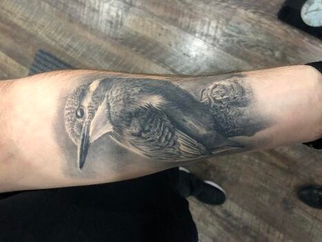 Blackinkuth Healed Bird tattoo
